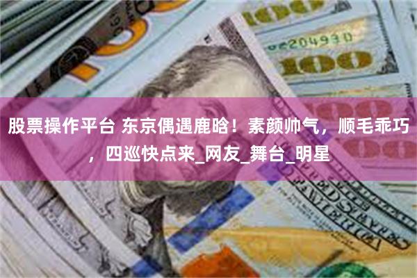 股票操作平台 东京偶遇鹿晗！素颜帅气，顺毛乖巧，四巡快点来_网友_舞台_明星