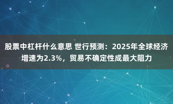 股票中杠杆什么意思 世行预测：2025年全球经济增速为2.3%，贸易不确定性成最大阻力