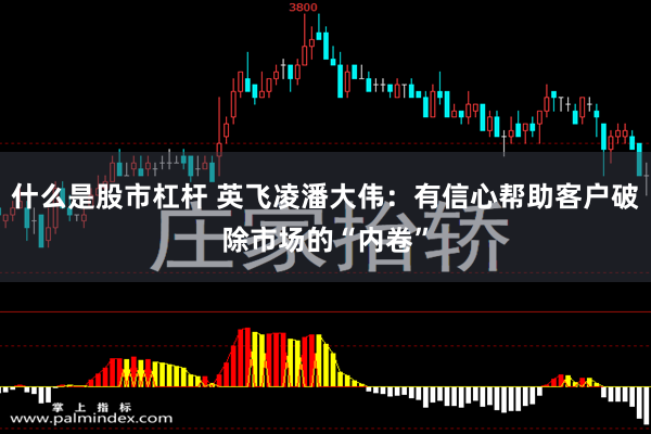 什么是股市杠杆 英飞凌潘大伟：有信心帮助客户破除市场的“内卷”