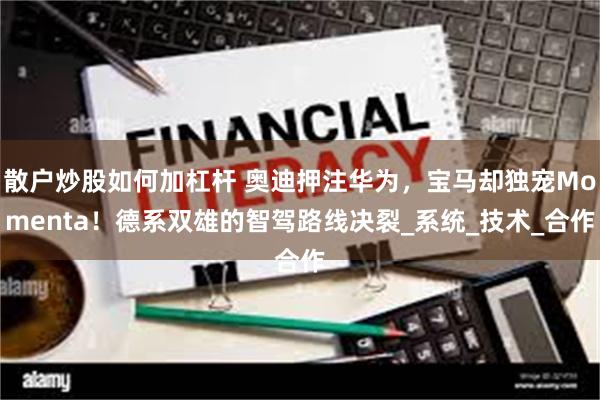 散户炒股如何加杠杆 奥迪押注华为，宝马却独宠Momenta！德系双雄的智驾路线决裂_系统_技术_合作