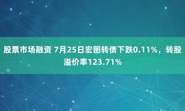 股票市场融资 7月25日宏图转债下跌0.11%，转股溢价率123.71%
