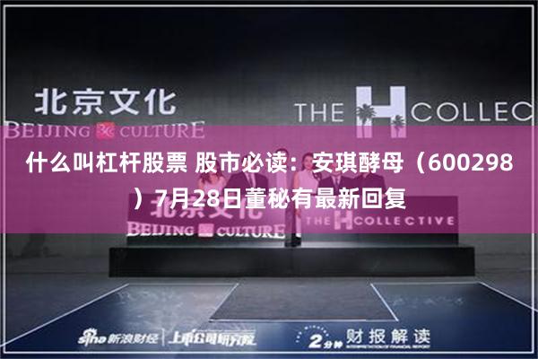 什么叫杠杆股票 股市必读：安琪酵母（600298）7月28日董秘有最新回复