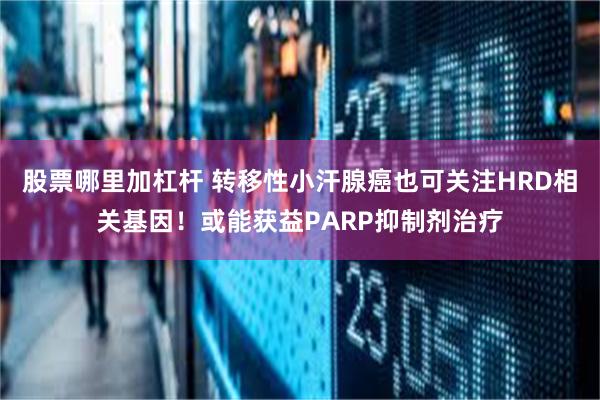 股票哪里加杠杆 转移性小汗腺癌也可关注HRD相关基因！或能获益PARP抑制剂治疗